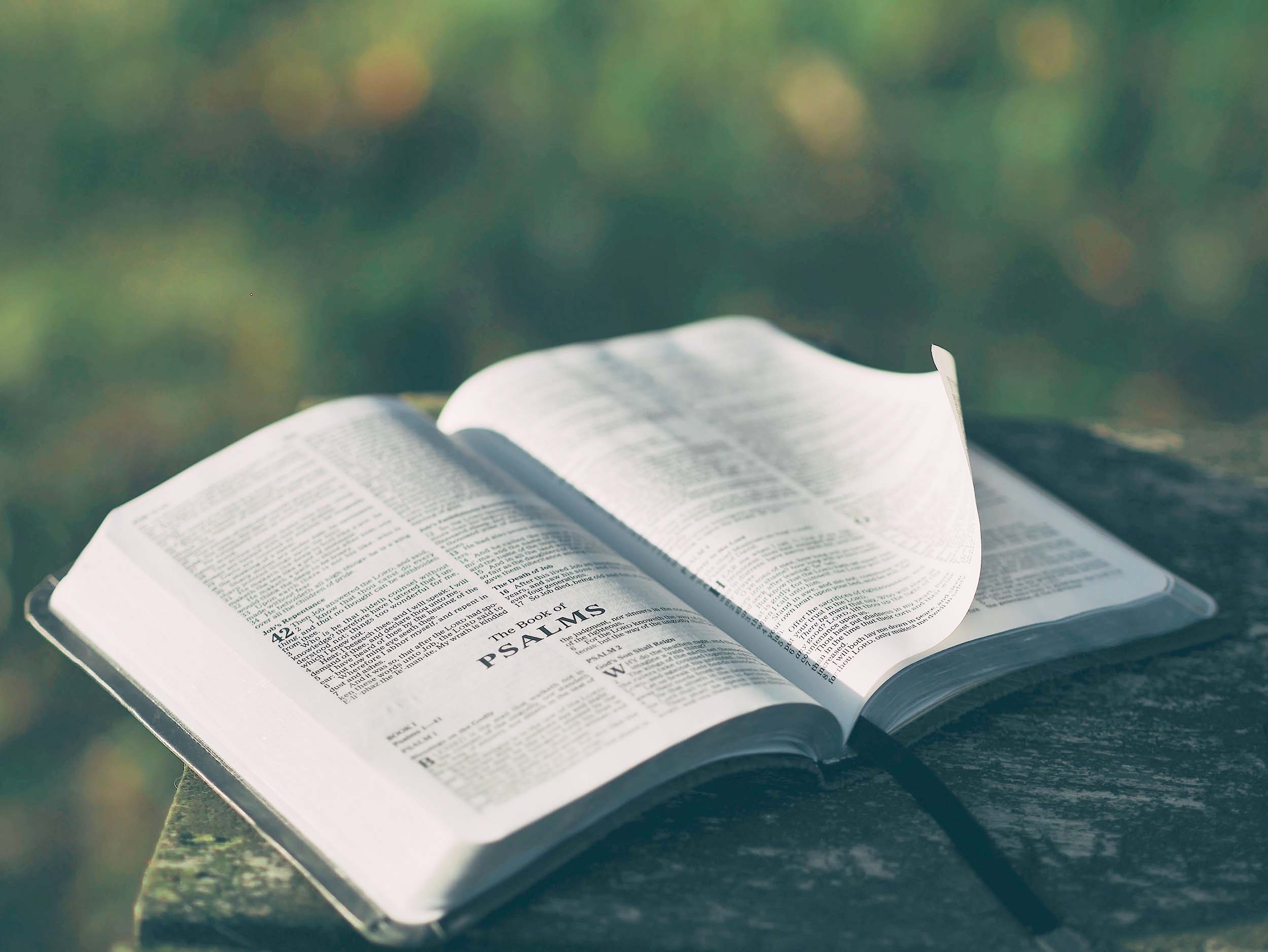Open Bible